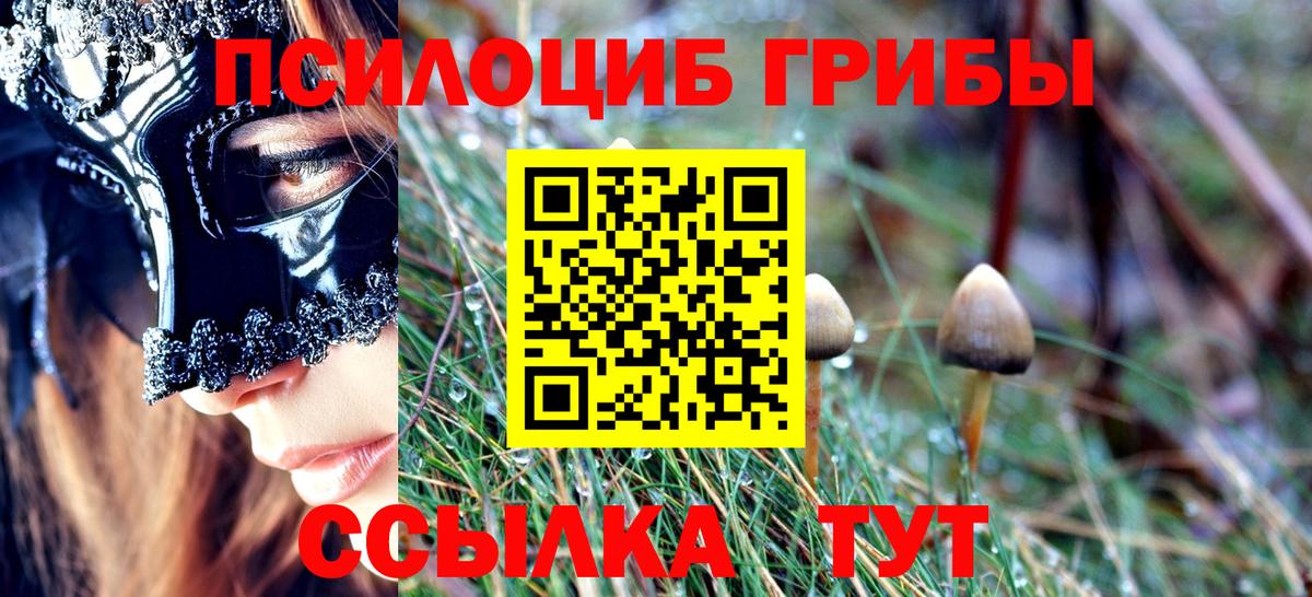 Ефремов  Галлюциногенные грибы ЛСД  цена   Псилоцибиновые грибы Magic Shrooms  Вход с VPN 