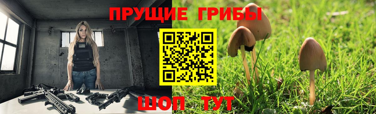 Псилоцибиновые грибы ЛСД Ефремов